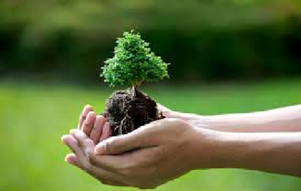 Mạng lưới các trạm quan trắc chuyên đề thuộc mạng lưới quan trắc môi trường quốc gia