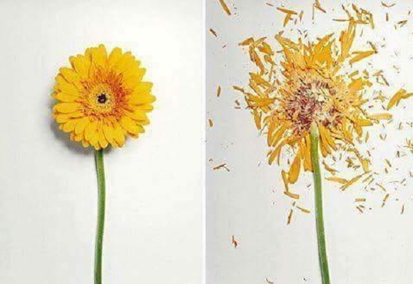 Thực trạng hệ thống quan trắc môi trường ở Việt Nam